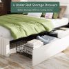 Queen Bed Frame with Storage Upholstered Headboard and 4 Drawers, Velvet Upholstered Platform Bed with LED Lights & Charging Station